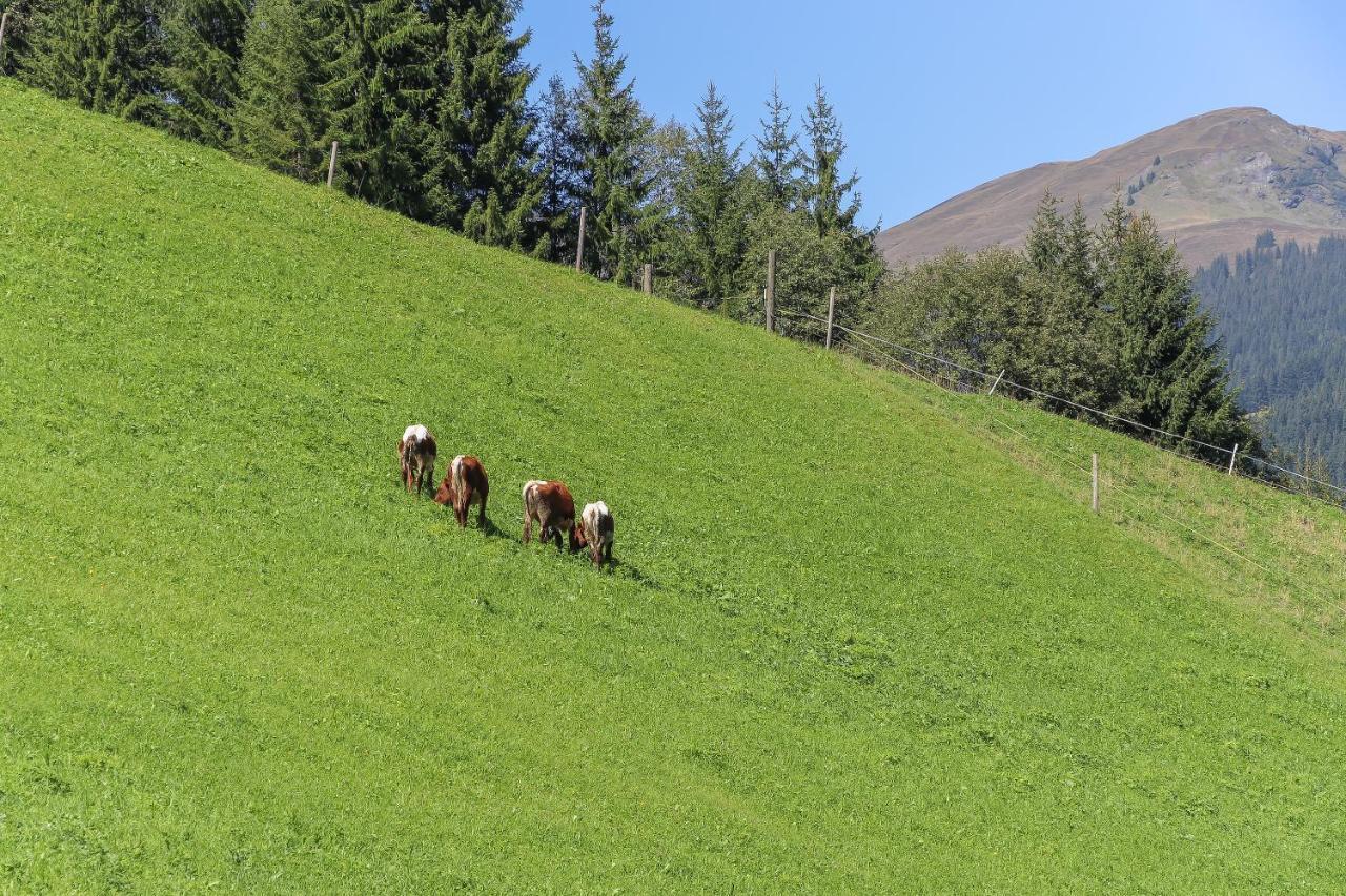 Landhaus Hinterglemm Lägenhet Saalbach-Hinterglemm Exteriör bild